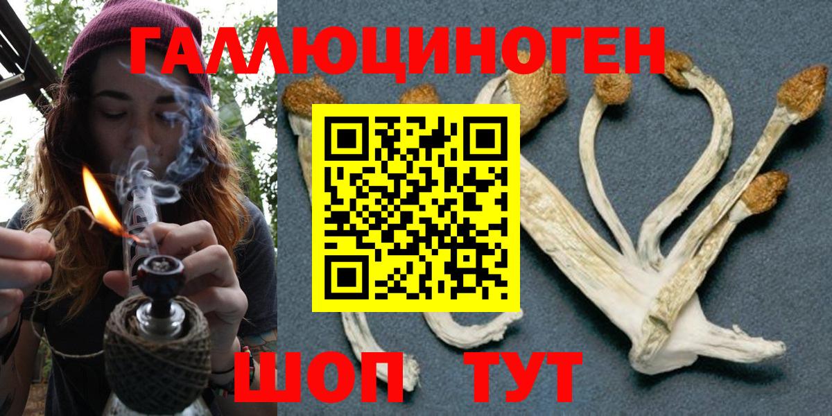 наркошоп  Вход с VPN  Мелеуз  Галлюциногенные грибы мухоморы  Псилоцибиновые грибы Psilocybine cubensis 